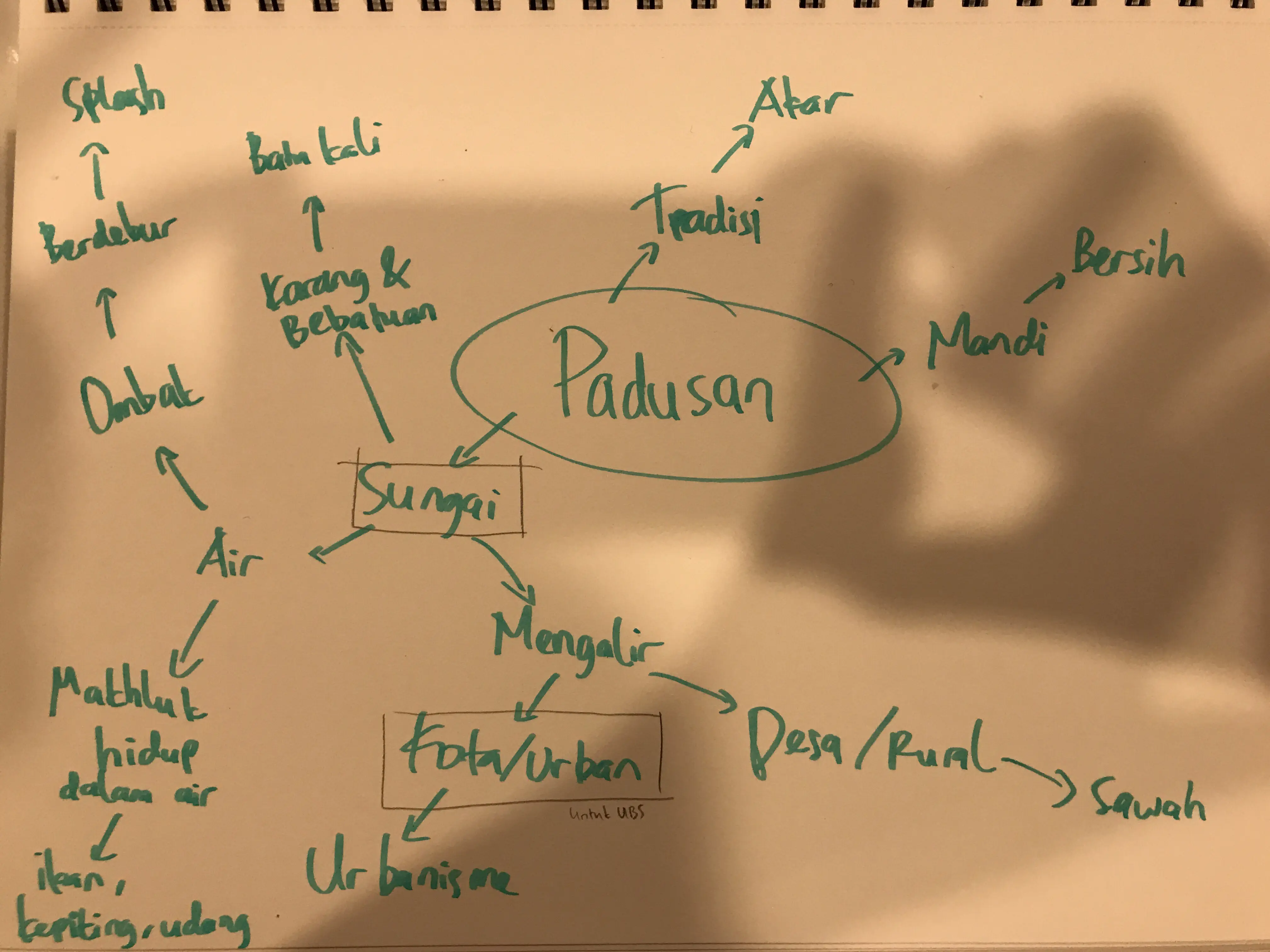 Working note mapping the early Padusan concept