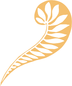 Shape for pattern component